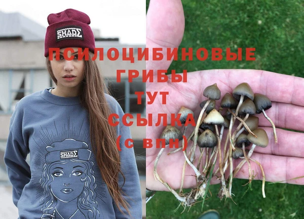 круглые Алзамай