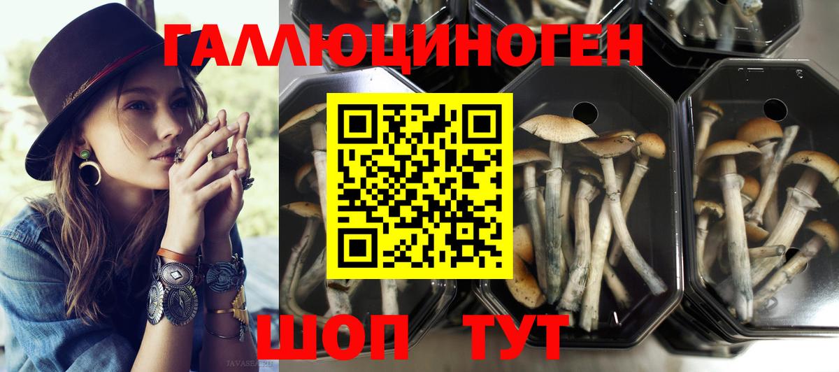 Псилоцибиновые грибы MAGIC MUSHROOMS Электрогорск