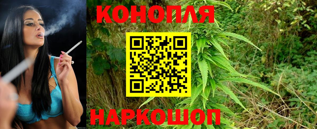 Электрогорск  Шишки марихуана планчик  Вход с VPN  Каннабис конопля  МАРИХУАНА Amnesia 